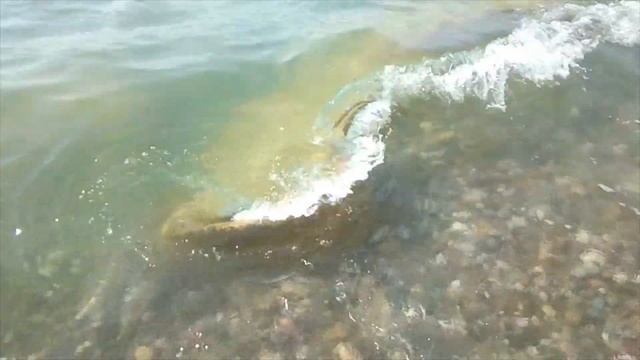 Море.  Сезон закрывается...
