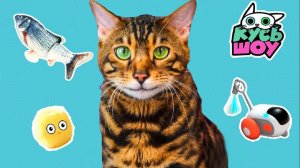 Игровые приключения котиков — Кусь-шоу — Тестируем новые  игрушки и игры