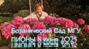 Ботанический Сад МГУ - роскошные ПИОНЫ (8 июня 2025)