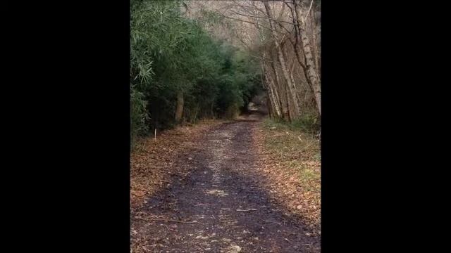 Презентация Шебеко Вячеслав смотреть онлайн