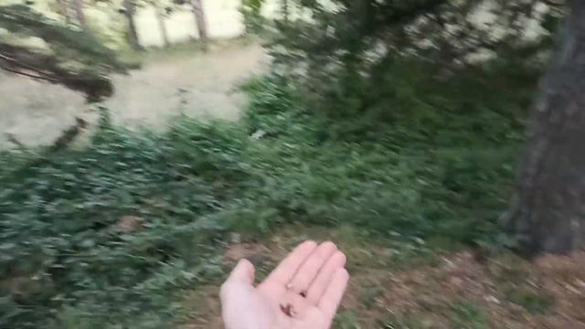 Кисловодск. Видео- и фотозаметки. Весна и осень 2023 г.