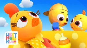 Курочка Коко и её цыплята: мир, ссоры и мамины заботы — Цветняшки — сборник — мультики для детей