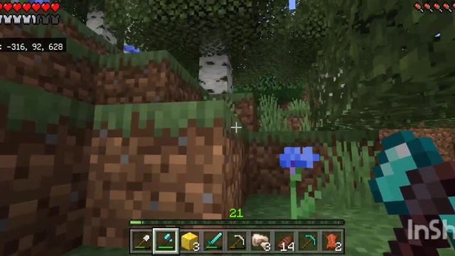 КУЧА РУДЫ | ПРИКЛЮЧЕНИЯ С МОДАМИ | Серия 2