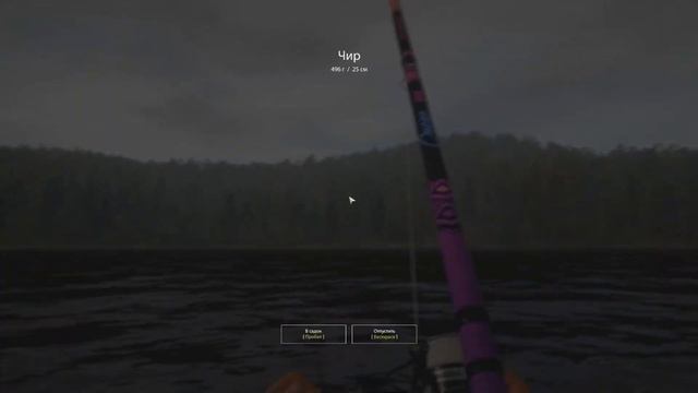 Русская Рыбалка 4. Тунгуска. Чир и Пелядь. +РОЗЫГРЫШ. смотреть онлайн