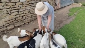 Приготовила вкусный обед. Домой нас привезли родители.