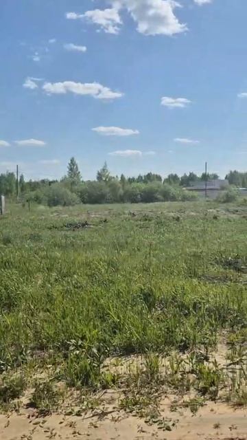 ЛЕНА смотреть онлайн