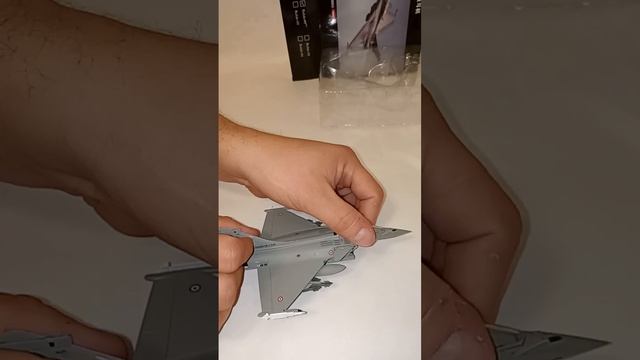 Коллекционная модель французского самолёта Рафале С ?