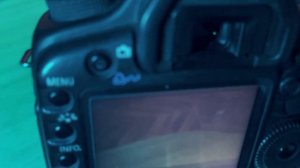 Обзор Canon 5D Mark II в 2024 году. Как снимать киношно.