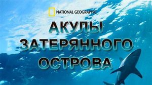 Акулы затерянного острова / Sharks of Lost Island | NAT Geo