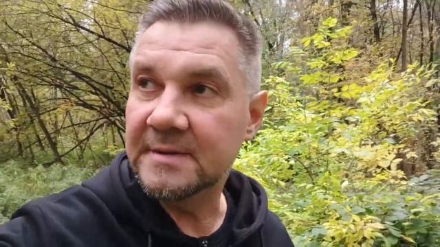 Макс лайф. Что лучше - читать книгу, слушать, или смотре смотреть онлайн