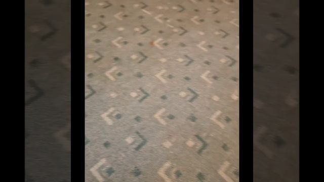 Продается 3х-комнатная квартира в Москве. Даниловский район. 1 этаж. ТТК. Кирпичный дом. 3 м потолок смотреть онлайн