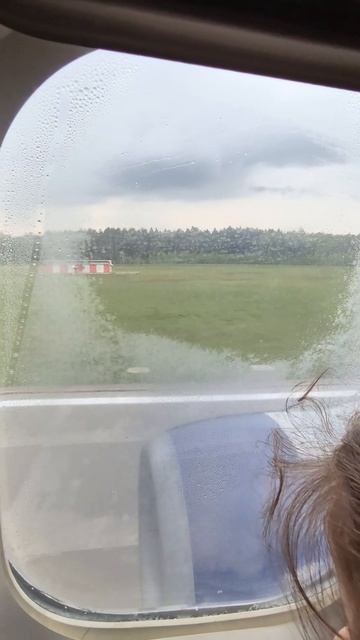 Самолет битком под завязку забит. Аэропорт Внуково смотреть онлайн