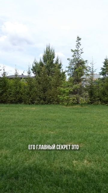 СМОТРЕТЬ ПОЛНЫЙ ОБЗОР ДОМА #загородныйдом #дизайнинтерьера #москва смотреть онлайн