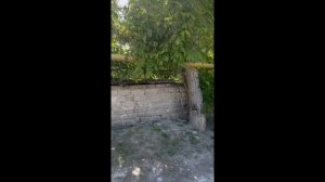 Куйбышево участок 86 соток, все коммуникации