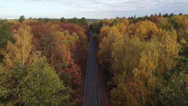 Линия жизни. Дорога недалеко от Серпухова