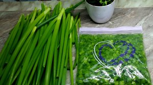 Супер способ заготовки зелёного лука на зиму для пирожков!! Сохраняем вкус, цвет и витамины!!