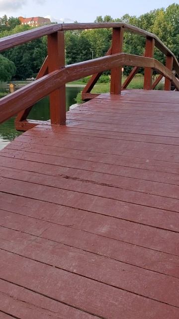 парк Дубки в Москве 20250609 смотреть онлайн