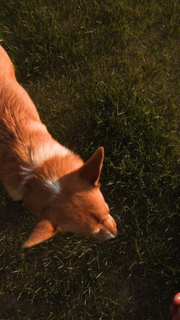 А теперь — конкурс смотреть онлайн