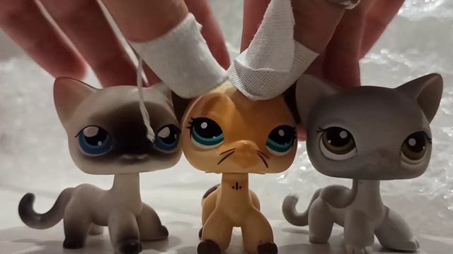 LPS: Не большая распаковочка посылки с Авито 📦 смотреть онлайн