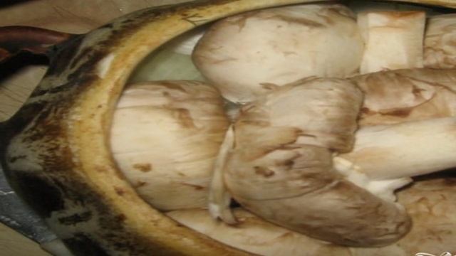 Секреты кухни