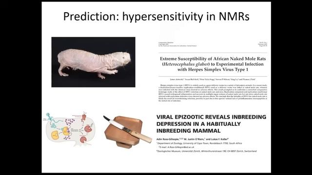 Запрограммированное старение: почему эволюция хочет нашей смерти и что мы можем с этим поделать