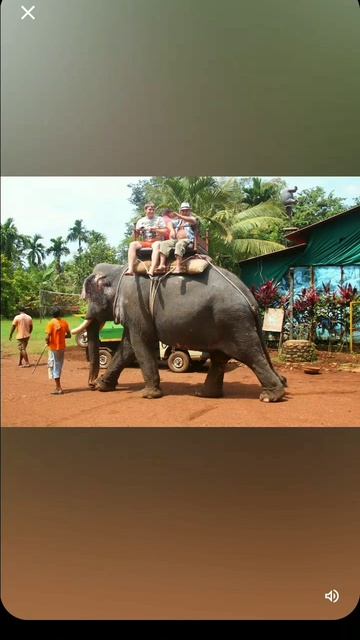 27.09.2014год. ГОА Индия. смотреть онлайн