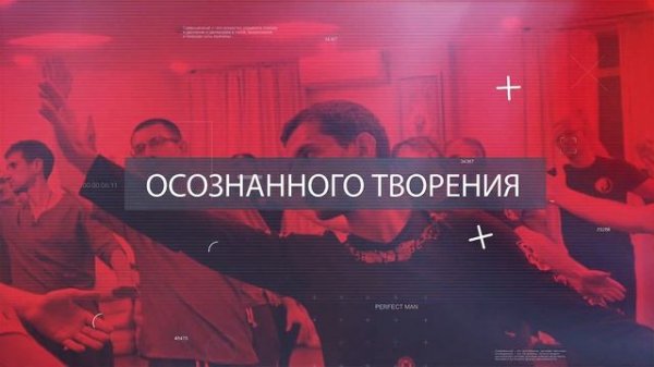 The Perfect One. Man