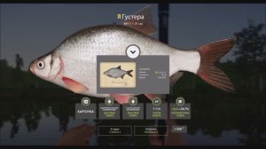 трофейная Густера с карточкой, озеро Комариное, игра Русская рыбалка 4