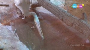 Навигатор. Новости. Выпуск 1194