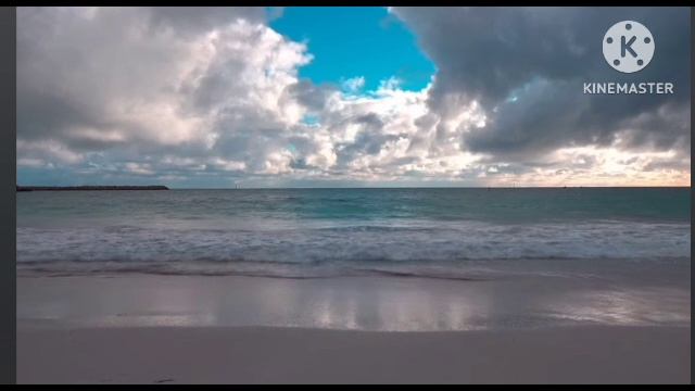 мы родились в Сибири//развод...хомяков😁//обзор канала смотреть онлайн