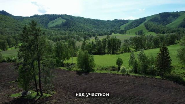 Алтай, купить участок с видом на Белуху. Усть-коксинск? смотреть онлайн