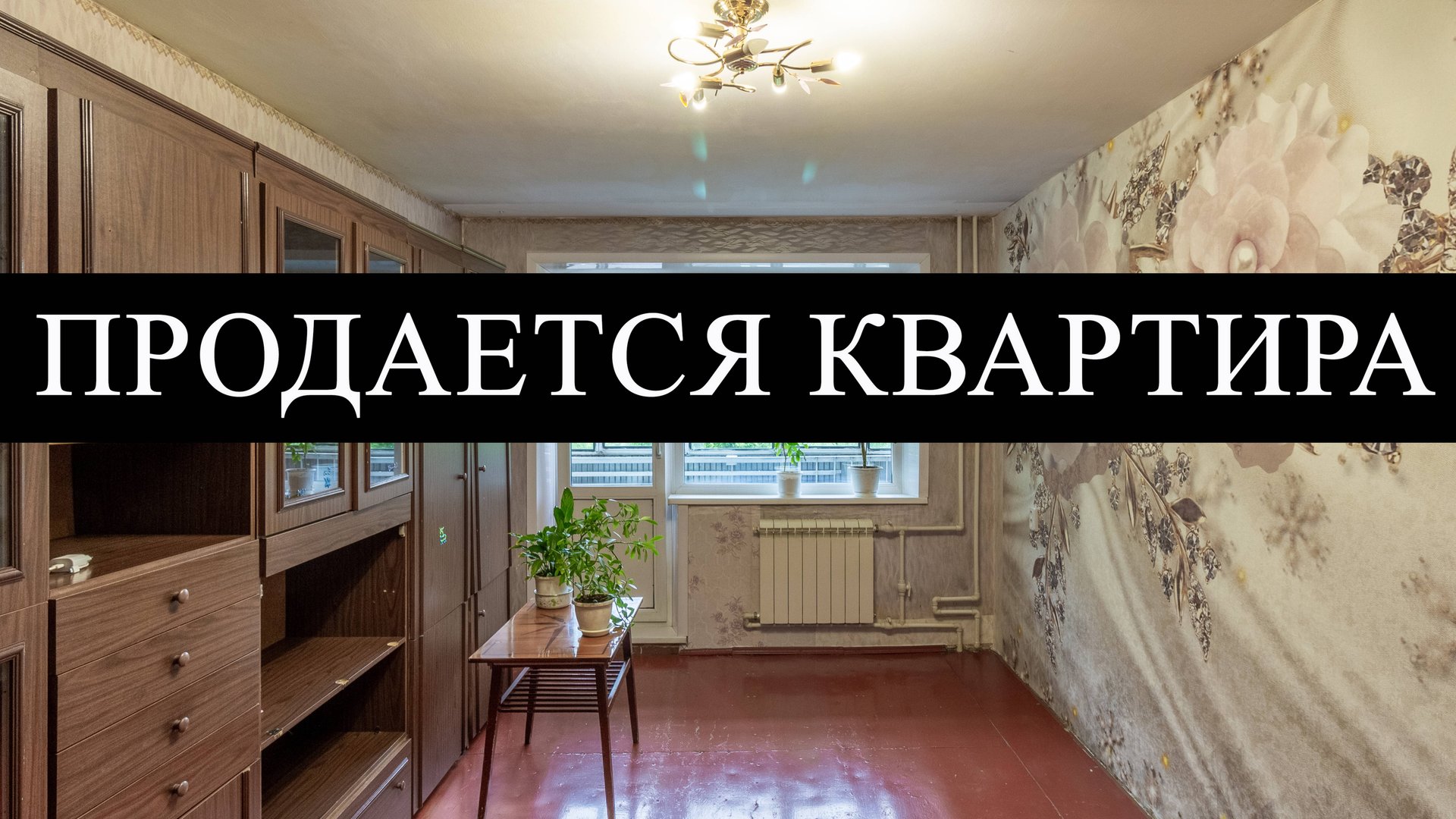 8493061 смотреть онлайн