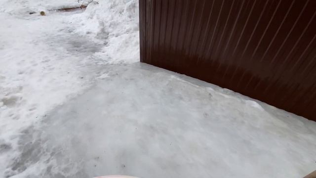 VLOG: Весь день запланирован / Нашла семена / Готовлю обе? смотреть онлайн