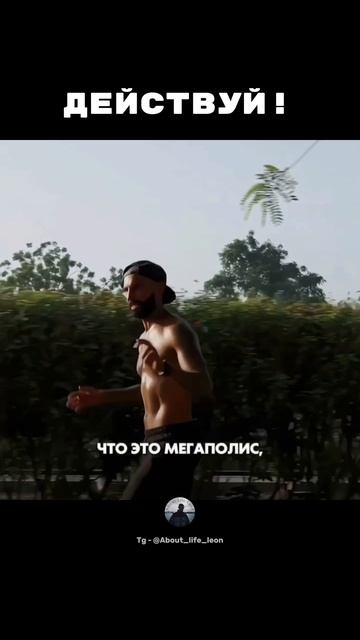 Действуй ! Не ищи оправдания! Tg - @About_life_leon #саморазвитие #успех #мотивация смотреть онлайн