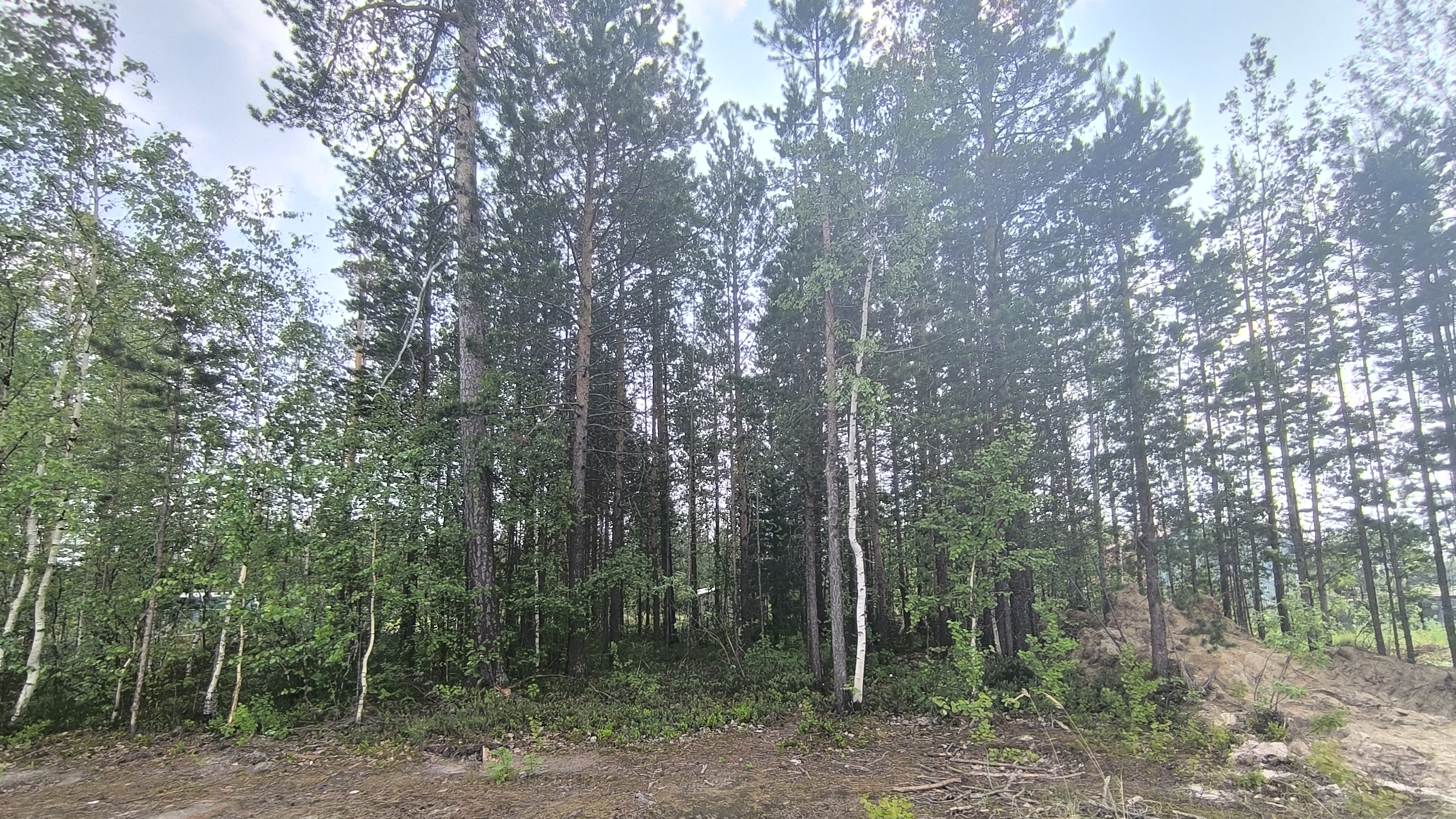 5778407 ДНТ Алтай смотреть онлайн