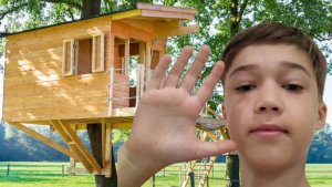 Домик на дереве