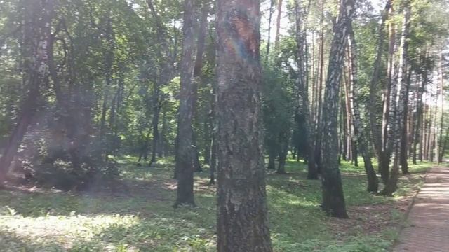 Санаторий Дубрава г.Орел 2025.Звуки лесной природы Часть 1 смотреть онлайн