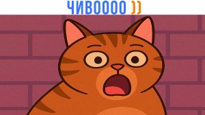 ЧИВОООО ))) Приколы с котами | Мемозг 1617