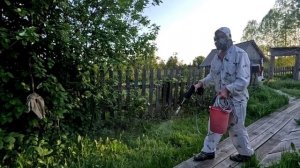 Борюсь с домашними хищниками.