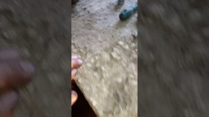 тигуан 1.4 мкпп 6 снятие кратко