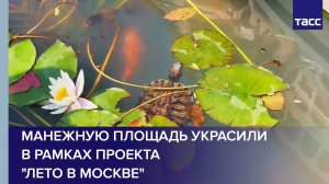 Манежную площадь украсили в рамках проекта «Лето в Москве»
