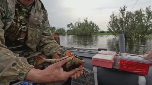 Открытие сезона спининга с Лехой. Щука и окунь.