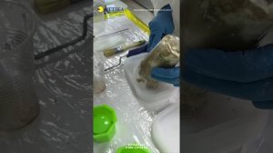 ИСПЫТЫВАЕМ РАЗНЫЕ ПОЛИЭФИРНЫЕ СМОЛЫ НА ЛИТЬЕ