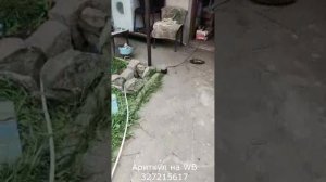 Насос Gidrox DC15-18 для полива: Секреты, о которых молчат продавцы!