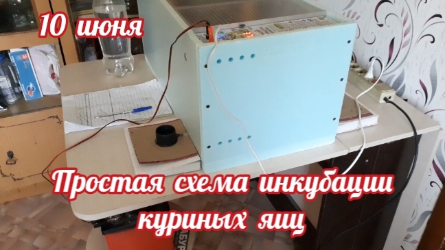 самая простая схема инкубации куриных яиц ( бройлер кобб 500) смотреть онлайн