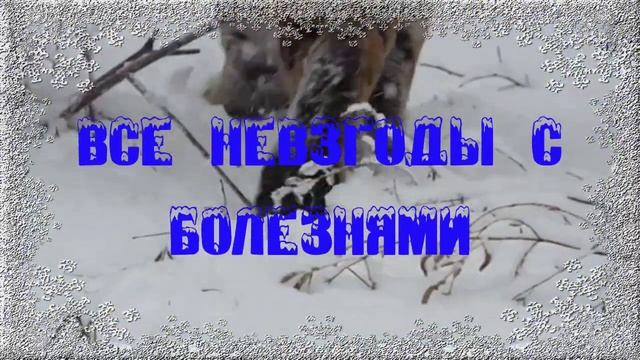 Поздравление с Новым Годом!