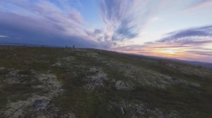 Горелая Июнь_4k