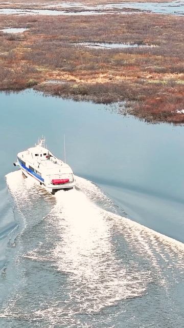 Пришел первыйпассажиский корабль в Яр-Сале смотреть онлайн