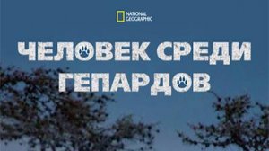 Человек среди гепардов / Man Among Cheetahs | NAT Geo