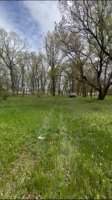 Весна